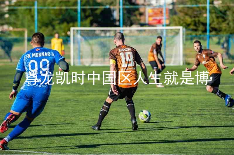 尊龙凯时中国区人生就是博